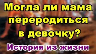 Могла ли мама переродиться в девочку?