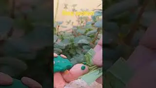 #stopmotion #stopmotionclaymation #stopmotionchallenge #ستوب_موشن