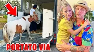 GIORGIA IS CRYING BECAUSE THEY'RE TAKING OUR BABY PONY AWAY FOREVER!