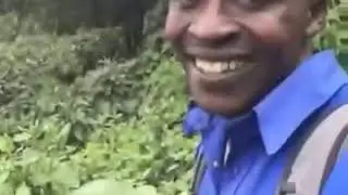 Okey (Original meme)
