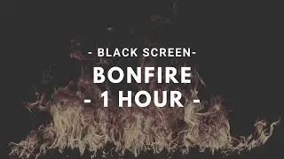 Bonfire during the day - Black Screen - 1 Hour Loop - Relax, Sleep, Study, Meditate