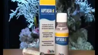 Red Sea Aiptasia-X.mp4