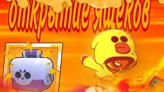 открытие ящеков ЧТО СЕНДИ