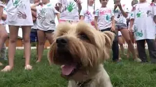 многоточие песня