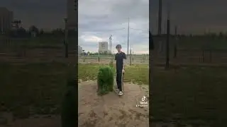 Слоны на месте ?