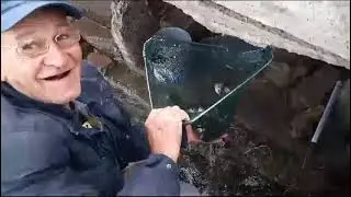 Ведро карасей за минуту на Чапаевском мосту