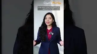 MINA ; Lightening the Load in the Crypto Universe with its Featherweight Blockchain