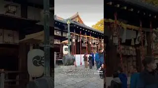 #lifeinjapan #japanvlog #japan #japanfestival #traveljapan #japanculture #hatsumode #tondomatsuri