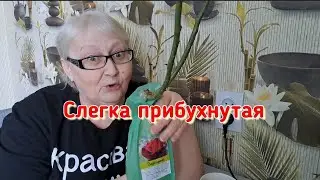 Я немного расстроена... не ожидала такого... Но я жива, здорова и все ещё хорошею и хорошею...