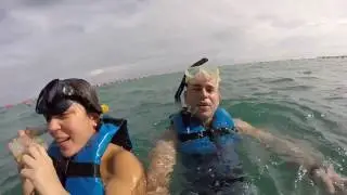 Playa del Carmen y Mazatlan