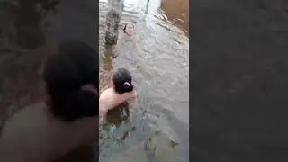 suasana sore hari disungai musi#subscribe #viral