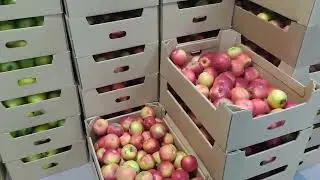 Шикарный магазин рядом с сельским поселением СВЕТЛОГОРСКОЕ !!!