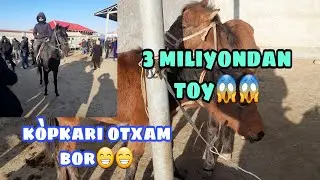 09 12 2021 SAMARQAND OQDARYO OT BOZORI