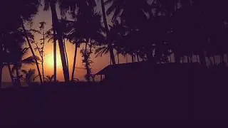 Beachside Sunset | TIMELAPSE