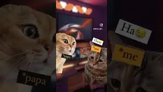 BGMI Cat Meme | #BGMI #shorts