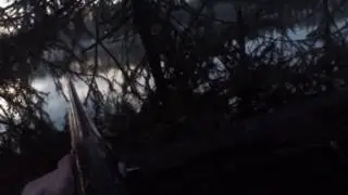 Охота на уток РК