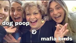 MOTHERS DAY AND MAFIA BIRDS?!