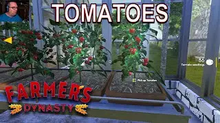 Finally Getting TOMATOES - Farmers Dynasty - #12