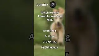 Dog Lovers Quiz! 🐶🧠