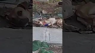 КАК ТАК МОЖНО?😭