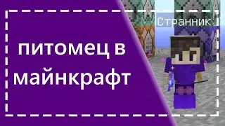 КРУТОЙ ПЕТОМЕЦ НА КОММАНДНЫХ БЛОКАХ | Minecraft КентухА