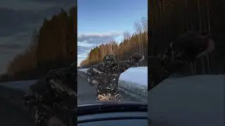 Танец возле машины 😂. Таня Каширина