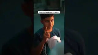 15 августа 2024 г.