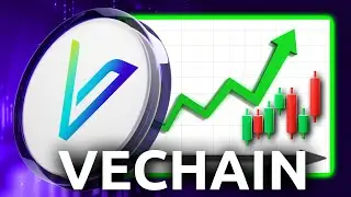 VeChain (VET) - $0.20 By End Of February? (2025 Price Prediction)