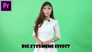 Big Eyes Meme Effect | Tutorial Premiere Pro | 65 Second Tutorial