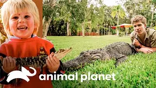 O jacaré André dará o seu último show no crocoliseu | A Família Irwin | Animal Planet Brasil