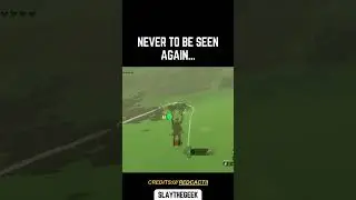Never To Be Seen Again… #tearsofthekingdom #zelda