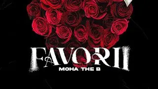 Moha the B -  FAVORII - ( Visualizer Oficial)