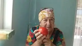 Перерабатываем помидоры. Соте из овощей. Наш ужин. Живём в станице, на Кубани.