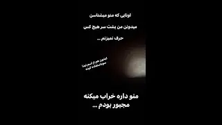 سواستفاده از تیدا خانم اصل تیدا سگ زنده یاب تیدا خانم اصلی تیدا شیلا خانم سگ باهوش تربیت شده سگ گارد