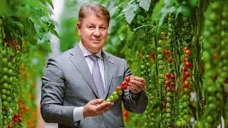 Первые жертвы коронавируса // Рейды полиции // Цветами торговать можно // Загадочная смерть лося