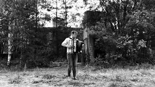 Тема войны на аккордеоне.  Очень красивая мелодия.  Paladio on accordion.