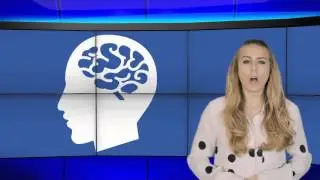 Alcohol and the Brain