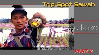 Mancing ikan gabus di sawah part2 ||casting gabus disawah ||casting gabus disawah