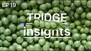 Tridge Insights | Top 3 PBA markets to invest in now