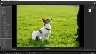 How To Import Images Into Lightroom Classic