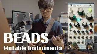 Ambient Guitar with Beads Mutable Instruments module (Delay, Tremolo…) 한글자막