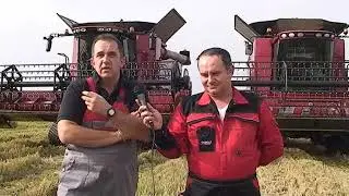 2014   Fratelli Delsignore Case IH Axial Flow in riso
