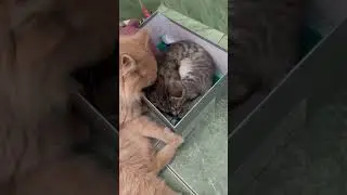 З - забота 