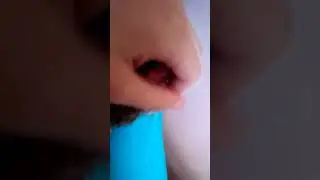 Нашли зайчонка.