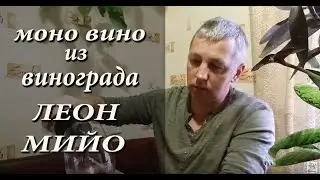 Моно вино из винограда ЛЕОН МИЙО! Сухое вино Леон Мийо!