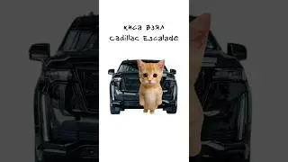 Киса покупает Cadillac Escalade 