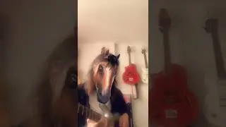 Pony