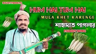 Hum Hai Tum Hai Mulakat Karenge |  শাহাদাত পাগলার নতুন গান | Made Yt Shorts | Funny 🤣 Parody Song |