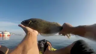 🔥🔥 CATCHING #HALIBUT #SCULPIN AND LOTS OF #FISH 🔥🔥
