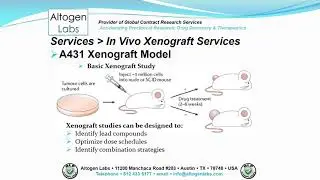 Altogen Labs A431 Xenograft Service Melanoma
